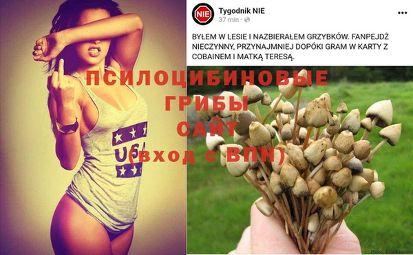 гашиш Ельня