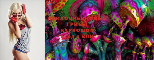 гашиш Ельня