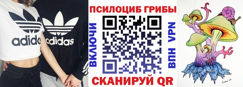 Купить где  Шахты  Псилоцибиновые грибы MAGIC MUSHROOMS 